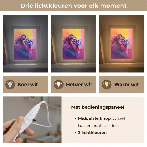 Leeuw - Verf- Kleuren - Dier Light Box met kabel klein -USP_lichtkleurNL