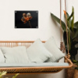 Orchidee - Doorzichtig - Bloem tuinposter los doek klein -sfeer7