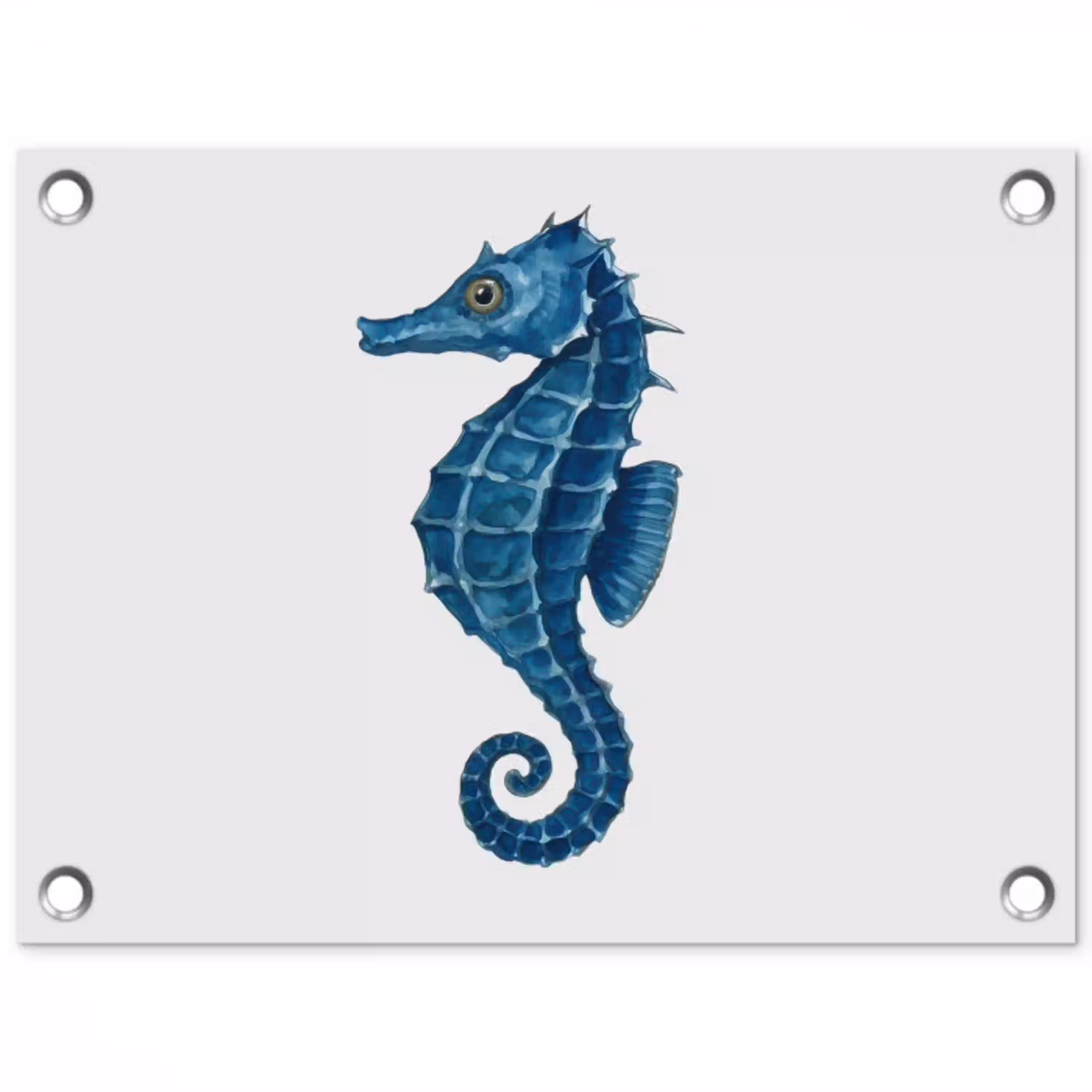 Zeepaardje - Staart - Blauw tuinposter los doek klein -3d