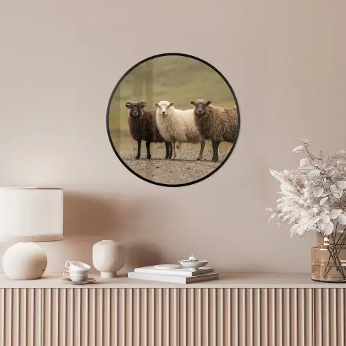 Schapen - Bruin - Wit - Grindpad Fotolijst rond zonder passe partout klein -sfeer3
