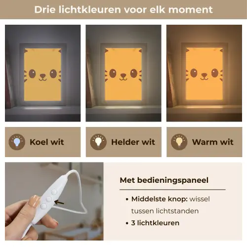 Kat - Simplistisch - Oranje - Vrolijk Light Box met kabel klein -USP_lichtkleurNL