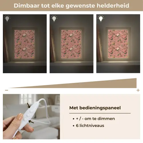 Klassiek - Botanisch - Roze Light Box met kabel (Tafellamp) klein 925 -USP_dimbaarNL