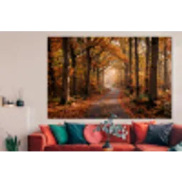 Bospad - Herfstbos - Bladeren - Oranje - Nostalgisch forex 5mm xxl -woonkamer
