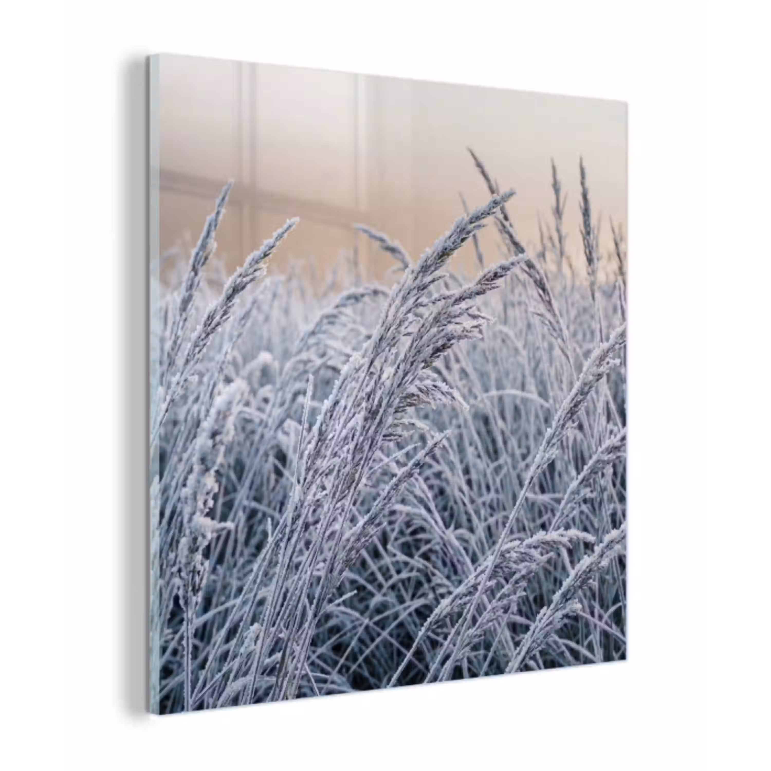 Rijp - Gras - Kristallen - Winter - Minimalistisch plexiglas 5mm klein -z3d