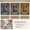 Lichtjes - Champagne - Dienblad - Glazen Light Box met kabel (Tafellamp) klein -USP_lichtkleurNL