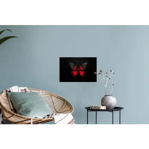 Vlinder - Rood - Contrast Muursticker klein -plant
