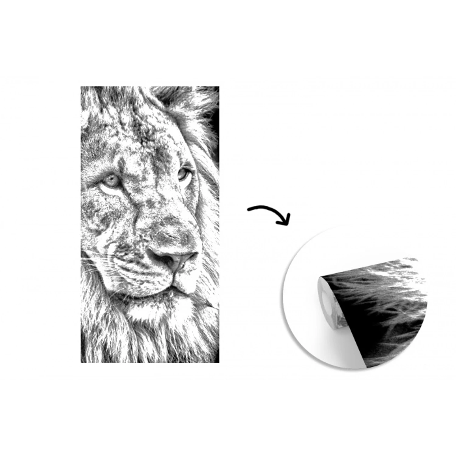 Portret - Leeuw - Zwart wit fotobehang vinyl groot -3d