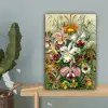Planten - Natuur - Bloemen - Ernst Haeckel canvas 2cm klein -sfeer4