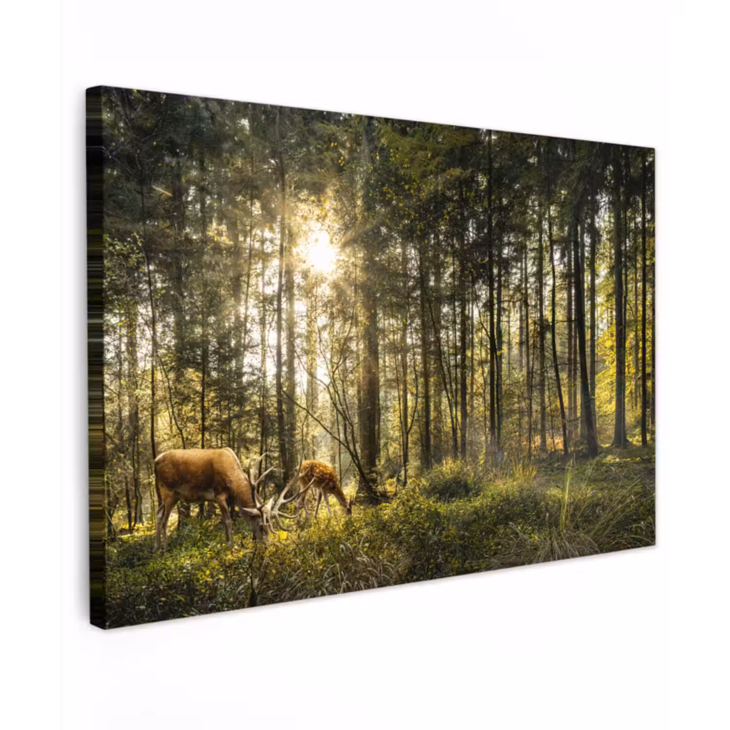 Canvas schilderij - Hert - Natuur - Bos