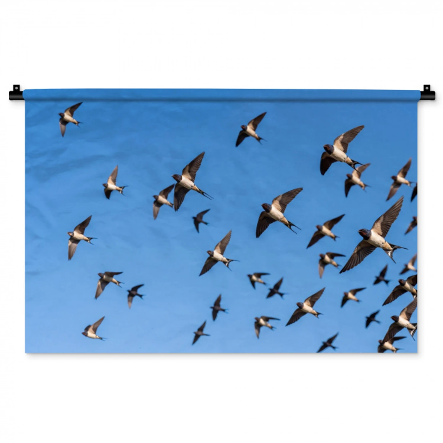 Zwaluwen - Vliegen - Blauw Wandkleed katoen middel -zz3d
