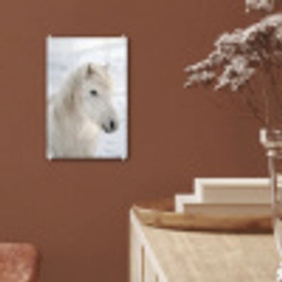 Paard - Kop - Winter - Dieren - Wit plexiglas 5mm klein -sfeer5