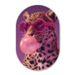 Panter - Zonnebril - Kauwgombel - Roze Wandcirkel Ovaal Glas middel -3d