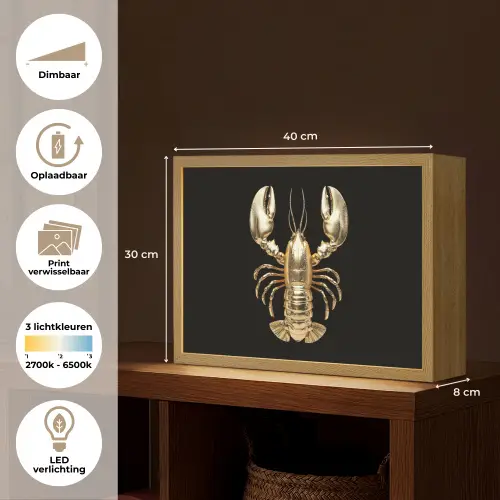 Kreeft - Goud - Textuur - Zwart Light Box met batterij (Wandlamp) middel -USP_websiteoverzichtNL