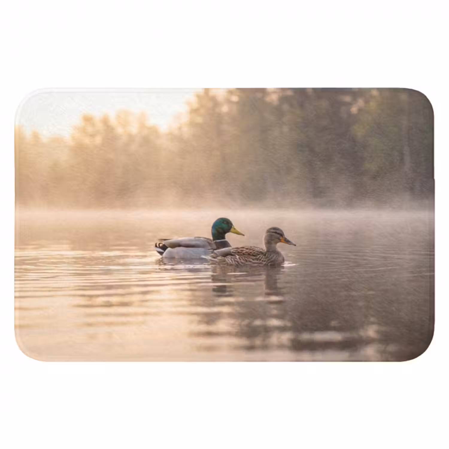 Badematte - Enten - Wasser - Nebel - Natur