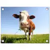 Koe in de Weide tuinposter los doek klein -3d