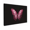 Vlinder - Fuchsia - Grafisch canvas 2cm klein -z3d