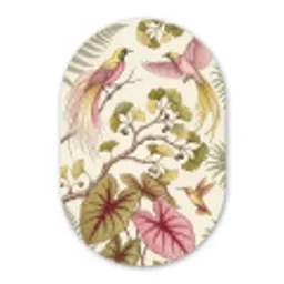 Vogels - Tropisch - Botanisch - Roze Wandcirkel Ovaal Forex klein -3d