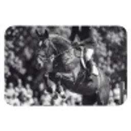 Springen - Paard - Zwart - Wit WCmat klein -3d