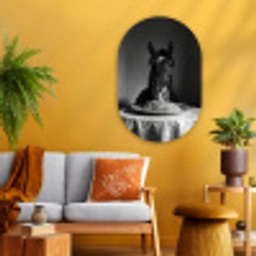 Paard - Bord - Pasta - Tafelkleed - Zwart Wit - Dieren Wandcirkel Ovaal Glas middel -sfeer4