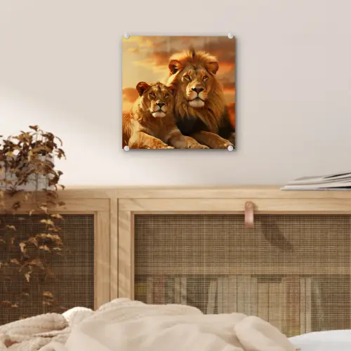 Leeuwen - Zonsondergang - Afrika - Savanne - Dieren plexiglas 5mm klein -sfeer4