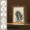 Palmblad - Donkere bladen - Subtiel Light Box met kabel (Tafellamp) klein -USP_NL
