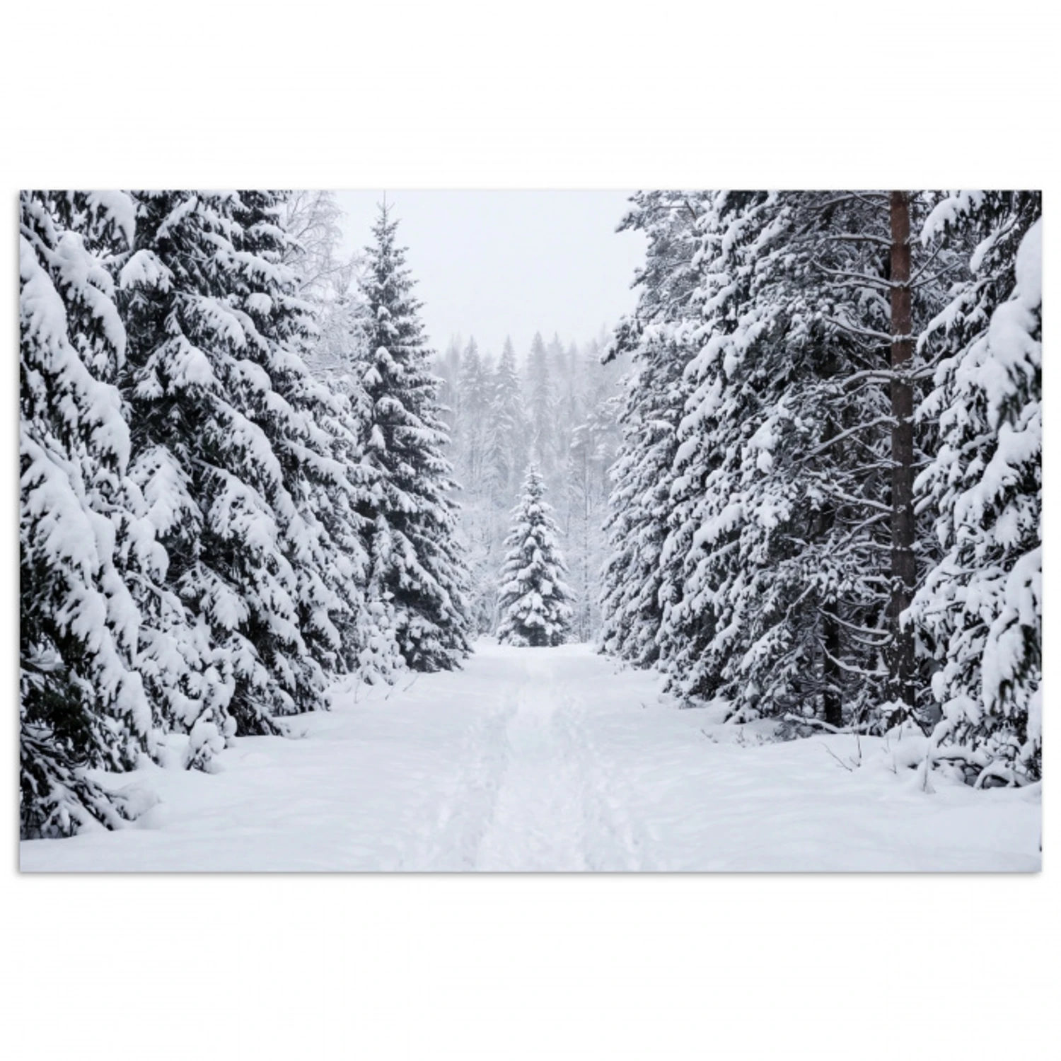 Bos - Winter - Sneeuw - Pad - Natuur poster papier klein -3d