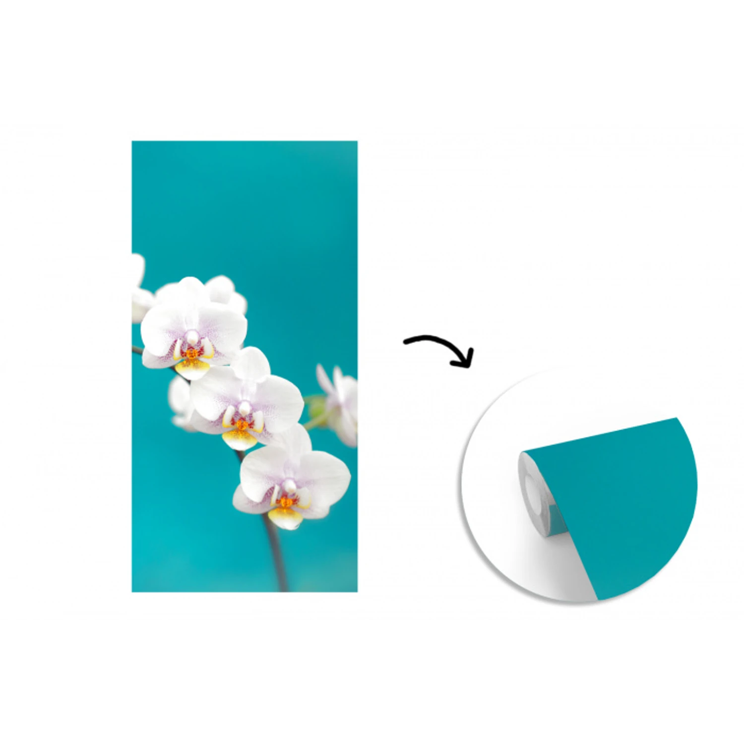 Orchidee - Bloemen - Plant - Wit - Paars fotobehang vinyl groot -3d