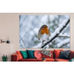 Roodborstje - Tak - Sneeuw - Winter - Levendig forex 5mm xxl -woonkamer