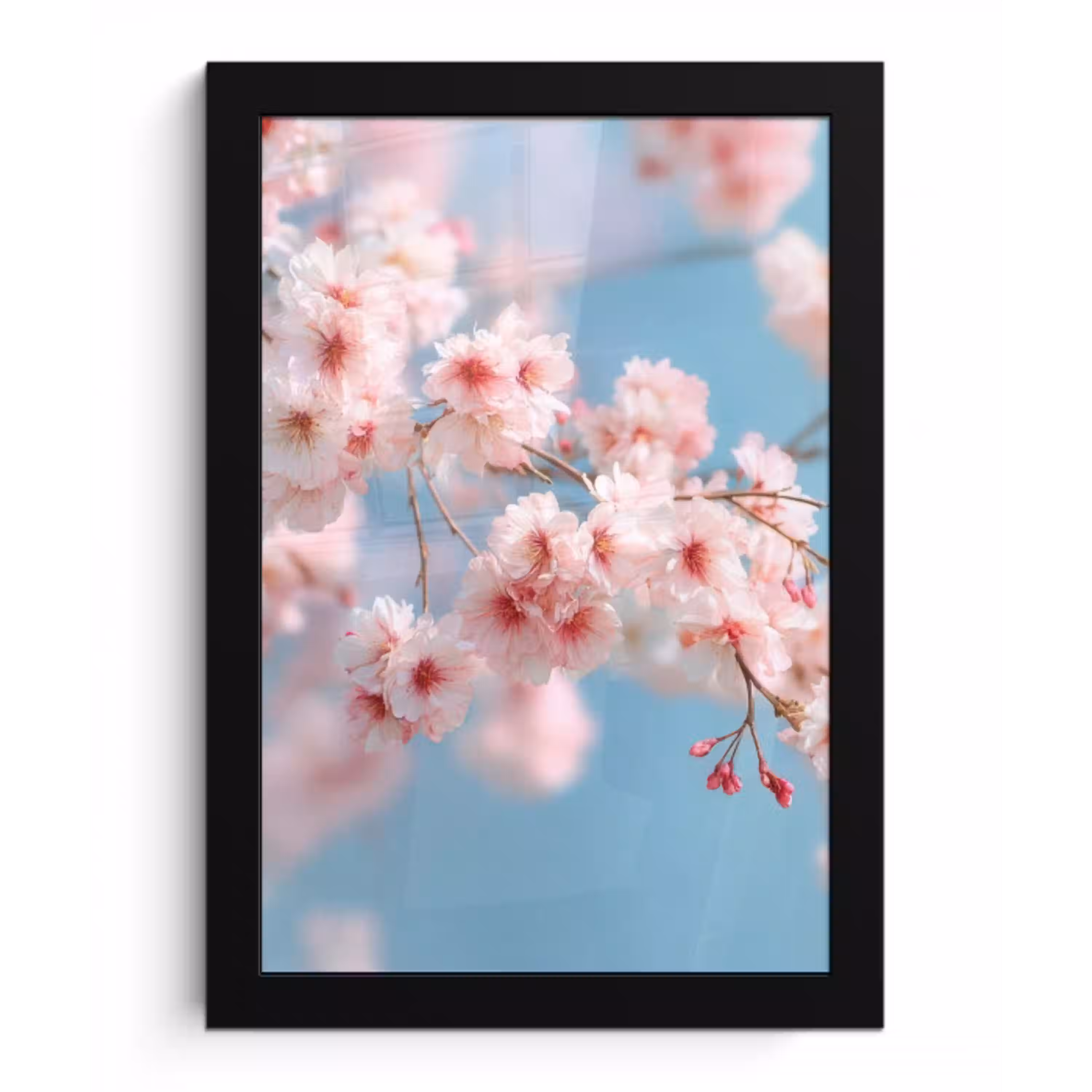 Takken - Bloesems - Roze fotolijst zwart zonder passe partout klein -3d