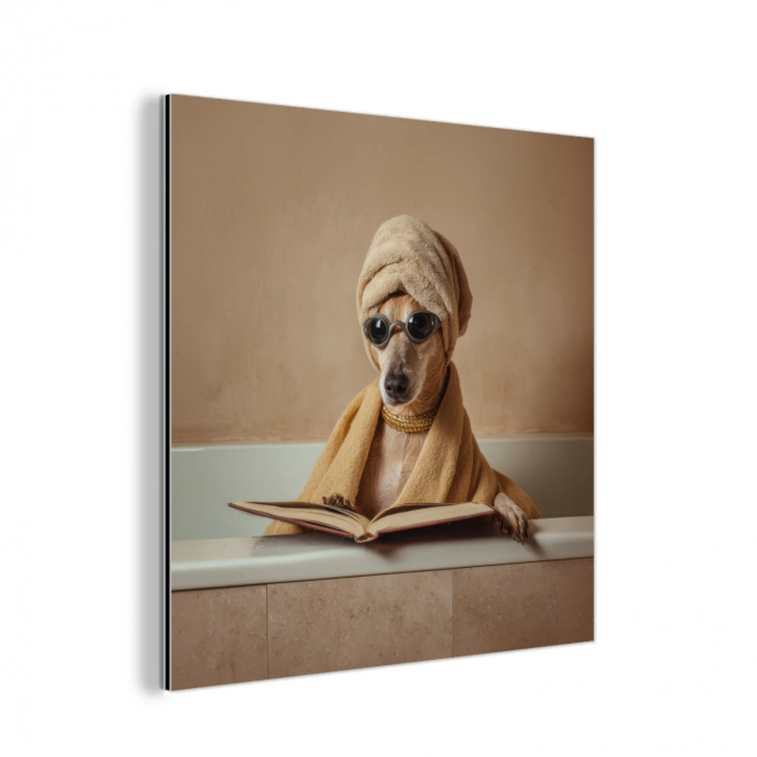 Bad - Hond - Boek - Zonnebril aluminium wit klein -3d