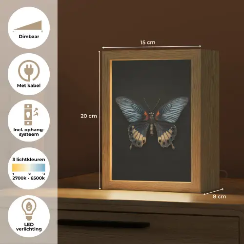Vlinder - Metaalachtig - Geometrisch patroon Light Box met kabel (Tafellamp) klein -USP_NL