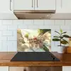 Bloesems - Zonlicht - Quote - Wit keuken achterwand spatscherm klein -sfeer2