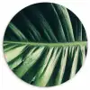 Bladeren - Tropisch - Jungle Wandcirkel plexiglas klein -3d