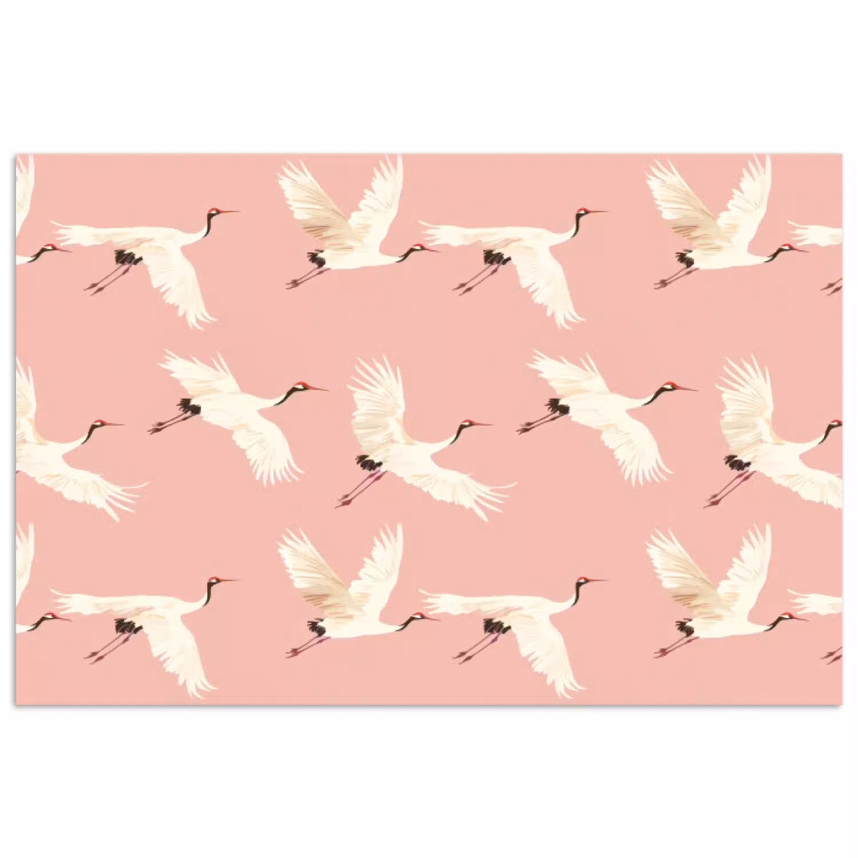 Modern - Kraanvogels - Roze poster papier klein 62 -3d