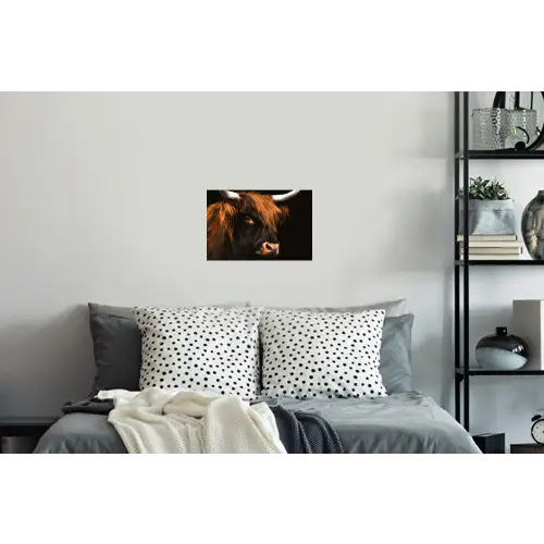 Schotse hooglander - Zwart - Koe - Hoorn - Dieren Muursticker klein -slaapkamer