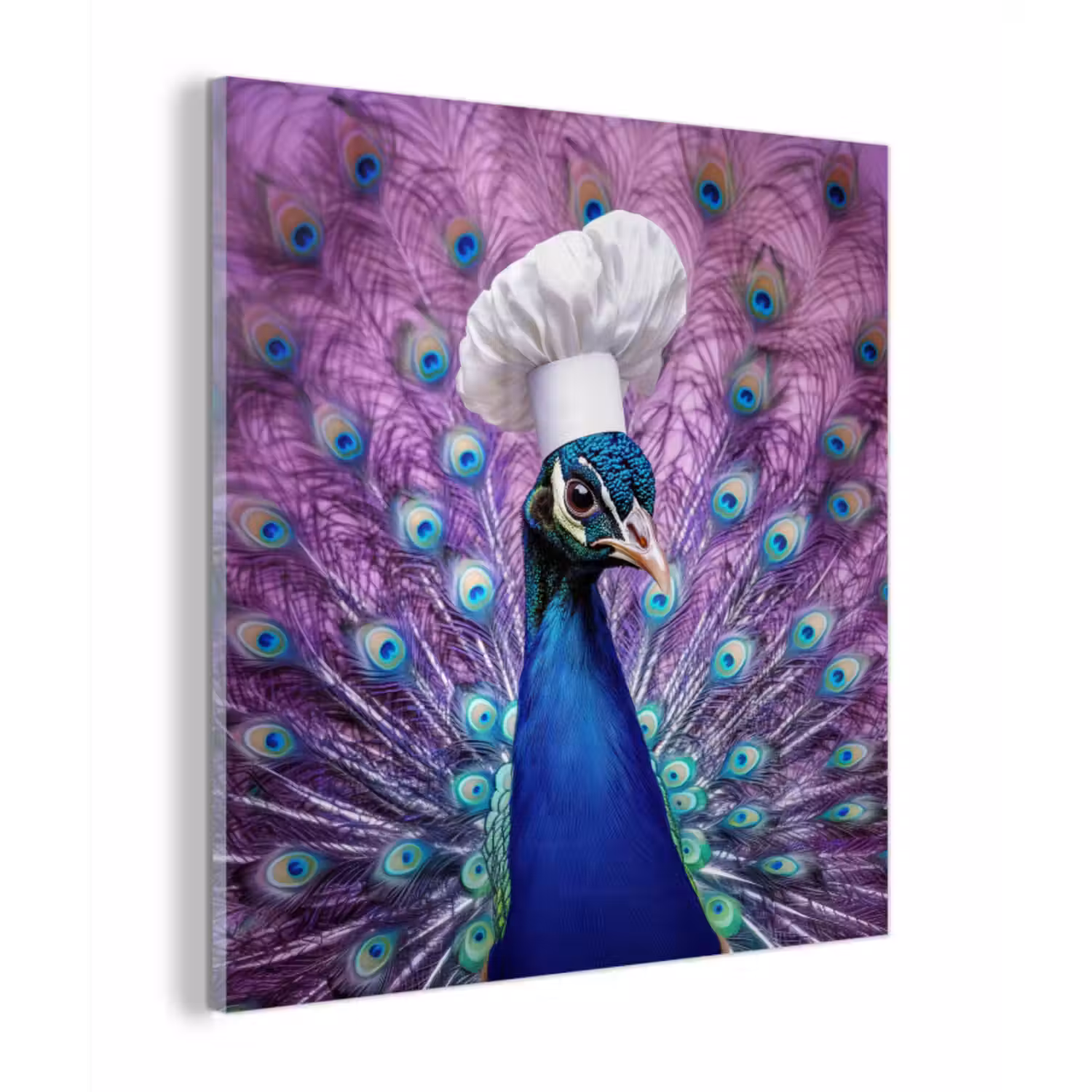 Glas schilderij - Pauw - Koksmuts - Cool - Paars