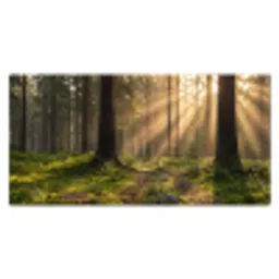 Bos - Zonlicht - Gras Muismat XXL klein -3d_leeg