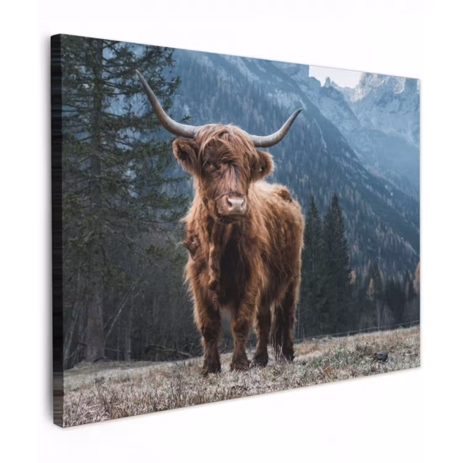 Leinwandbild - Schottischer Highlander – Berg – Landschaft – Bäume – Kuh – Natur