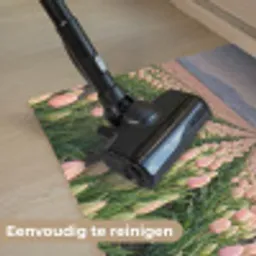 Tulpen - Landschap - Roze Deurmat klein -reinigen_NL