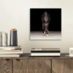 Paard - Modern - Portret aluminium wit klein -sfeer1