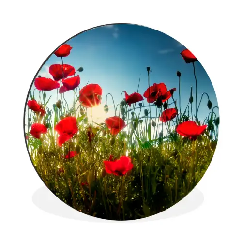 Klaprozen - Toscane - Zon - Rood - Blauw Wandcirkel aluminium klein -3d