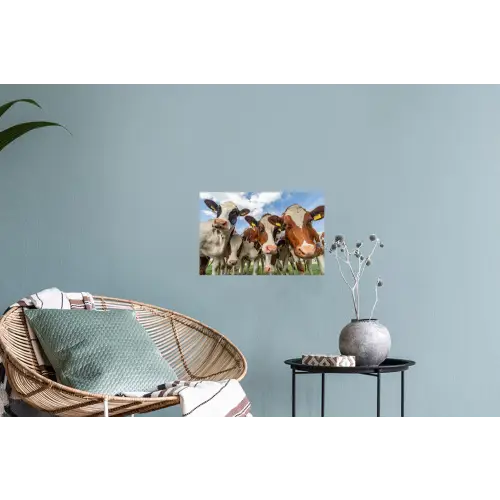 Koeien - Dieren - Weiland - Natuur Muursticker klein -plant