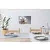 Bloem - Wit - Neutraal Muursticker klein -eettafel