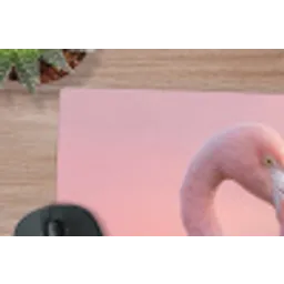 Flamingo - Portret - Roze muismat rubber klein -closeup