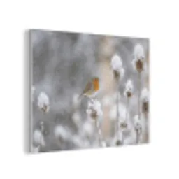 Roodborstje - Gedroogde bloem - Sneeuw - Winter - Vertederend PET vilt klein -3d