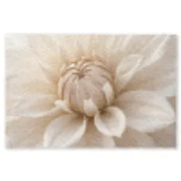 Bloem - Dahlia - Wit Vloerkleed Rechthoek klein -3d