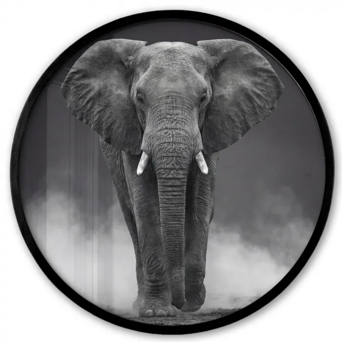 Olifant - Zwart - Wit - Rook Fotolijst rond zonder passe partout klein -3d