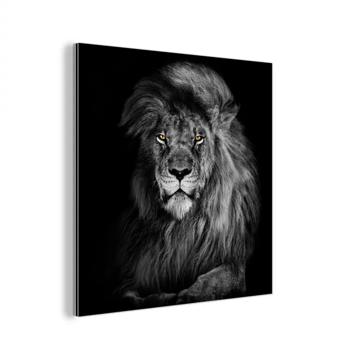 Leeuw - Ogen - Oranje - Zwart wit - Dieren - Portret aluminium wit klein -3d