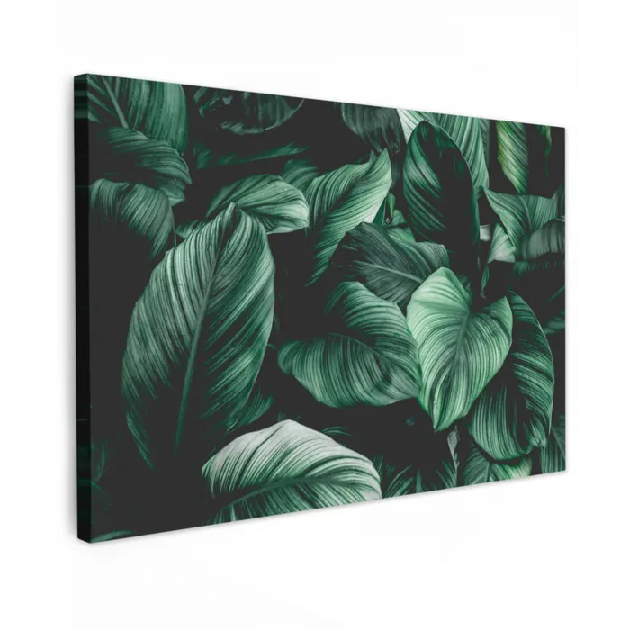 Jungle - Bladeren - Tropisch - Planten - Natuur Tuinposter op houten frame 2 cm dik klein -3d