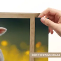 Lammetje - Gras - Bloemen - Geel Light Box met batterij (Wandlamp) middel -USP_websiteprintNL